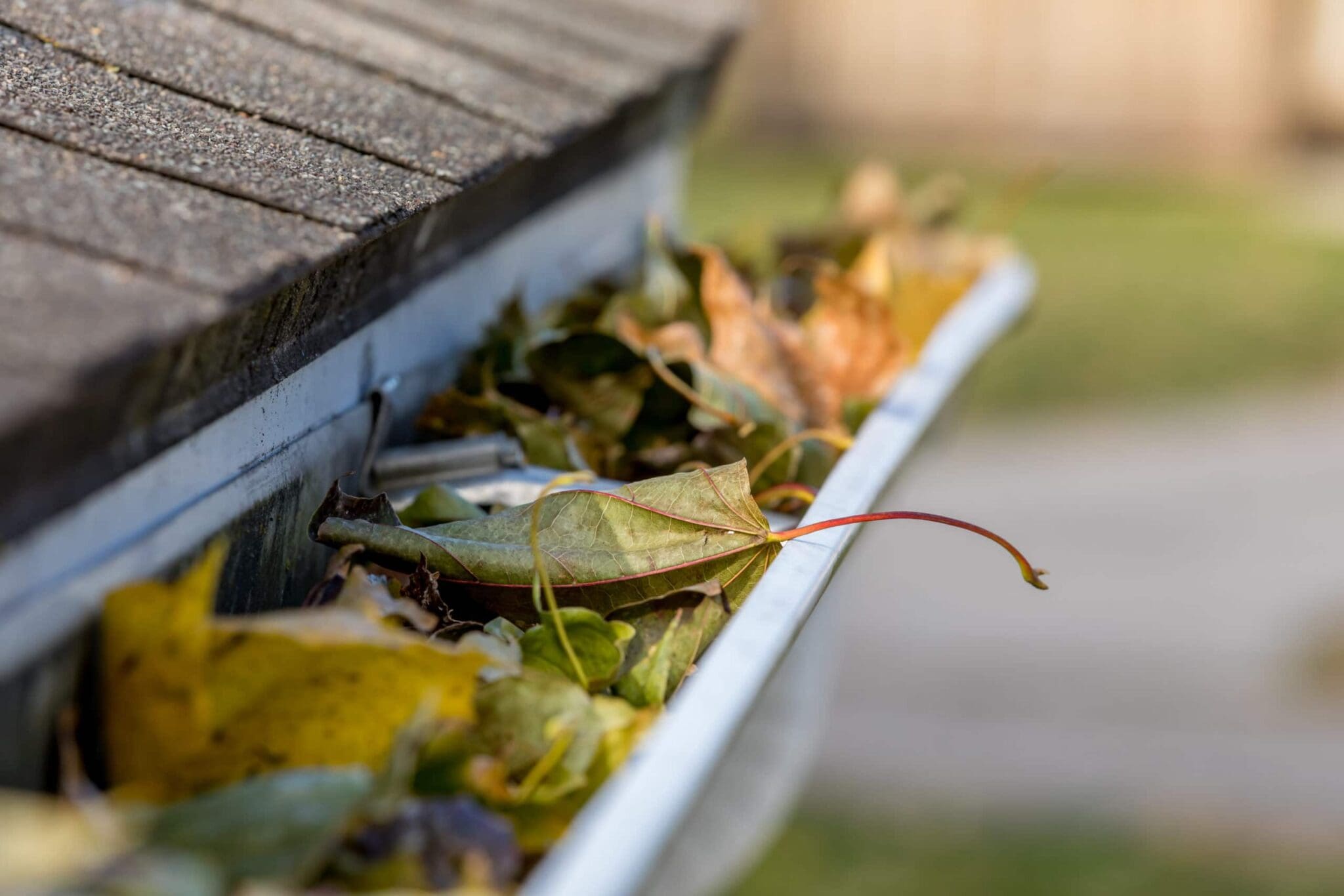 A roof's gutters are filled with fallen leaves.