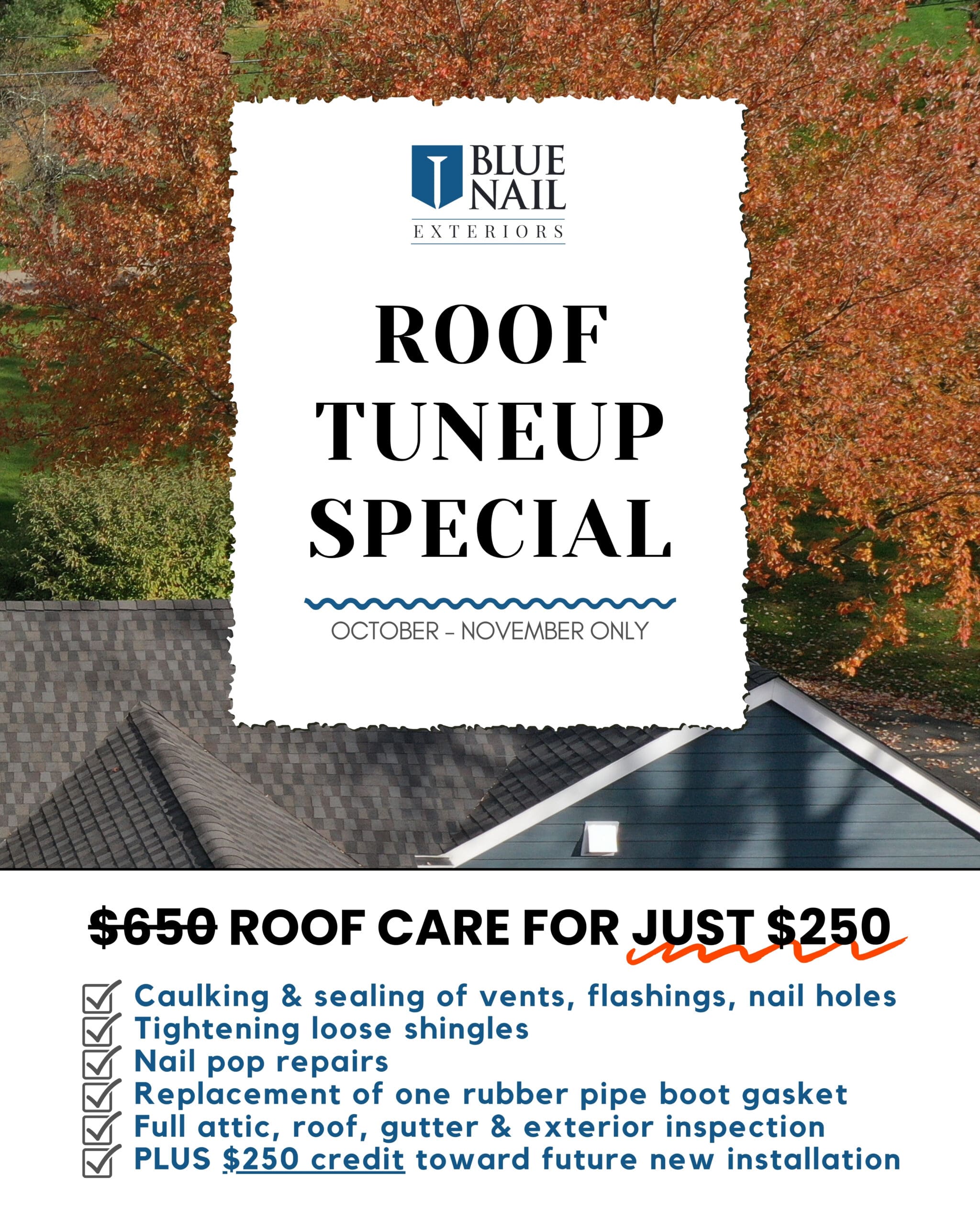 Roof Tune up Special